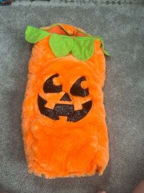 Party Dog Plush Pumpkin Dog Halloween Costume